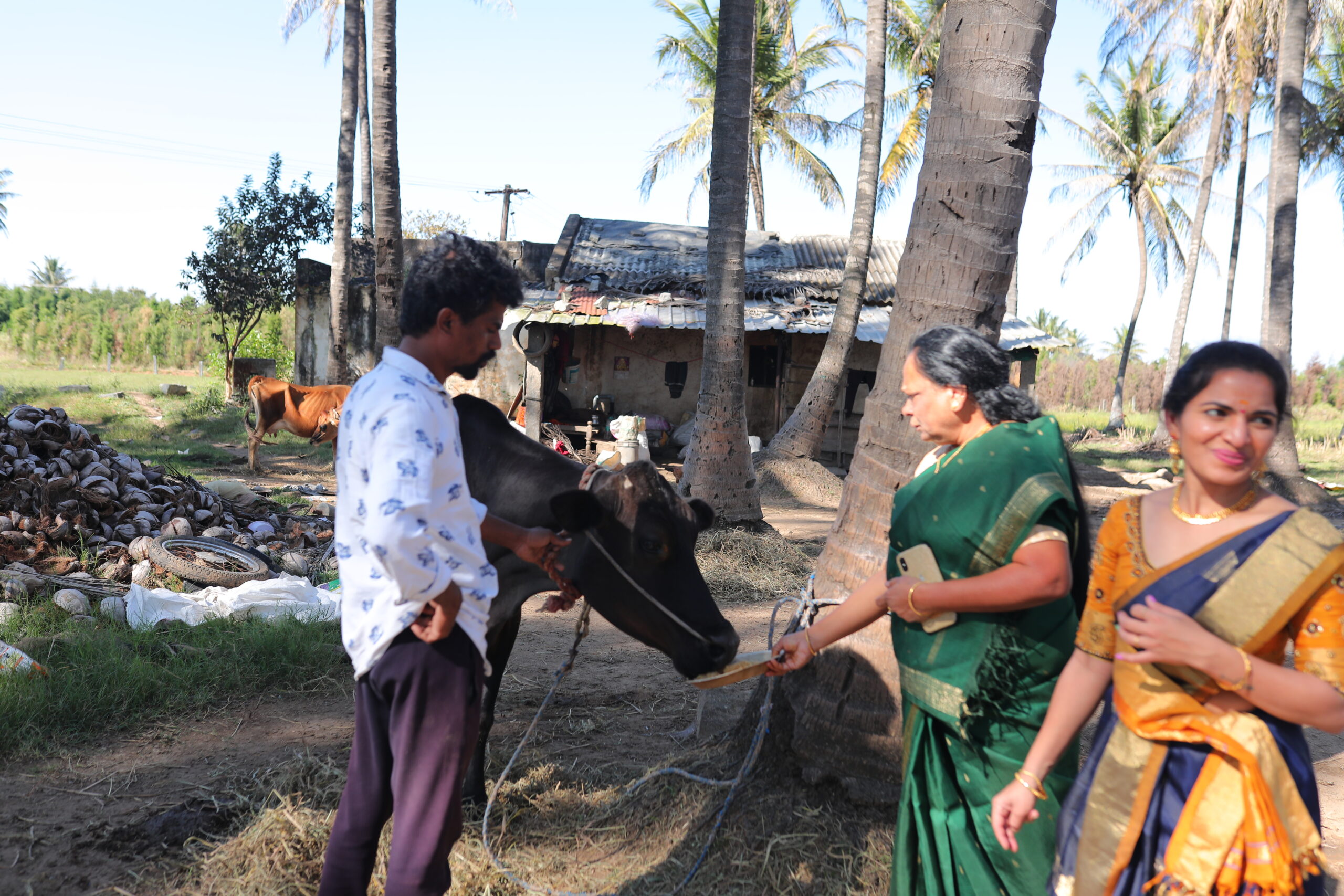 PIFT Pongal Celebration_691